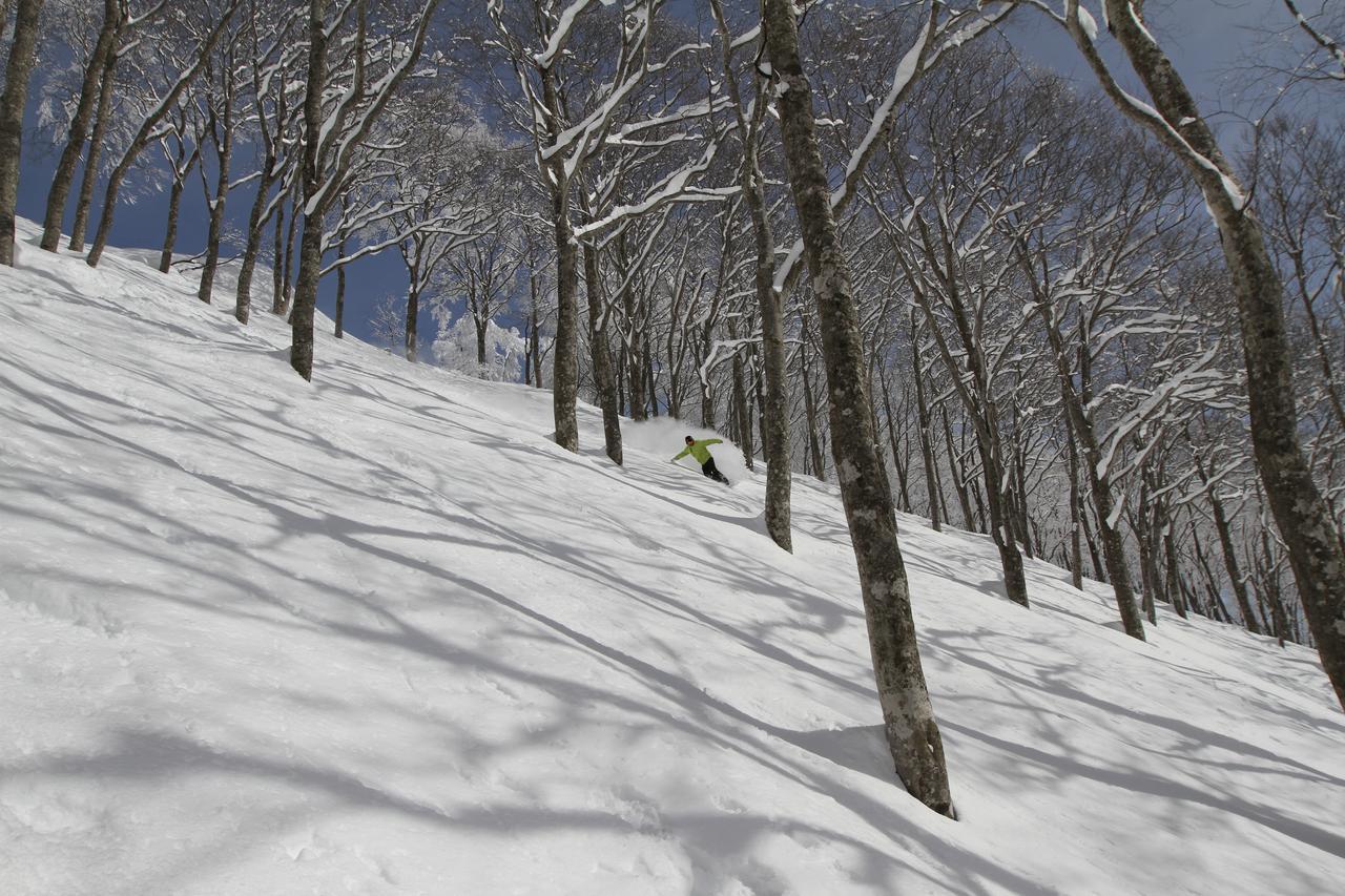 Powder Temple Hotel Hakuba Exterior photo